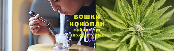 таблы Осинники