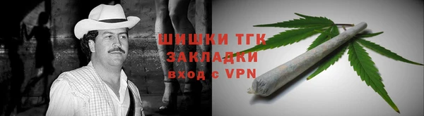 таблы Осинники
