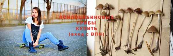 таблы Осинники