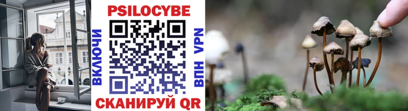 Псилоцибиновые грибы прущие грибы купить наркотик Ртищево