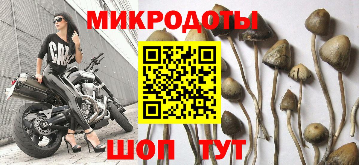 Псилоцибиновые грибы Magic Shrooms Ртищево