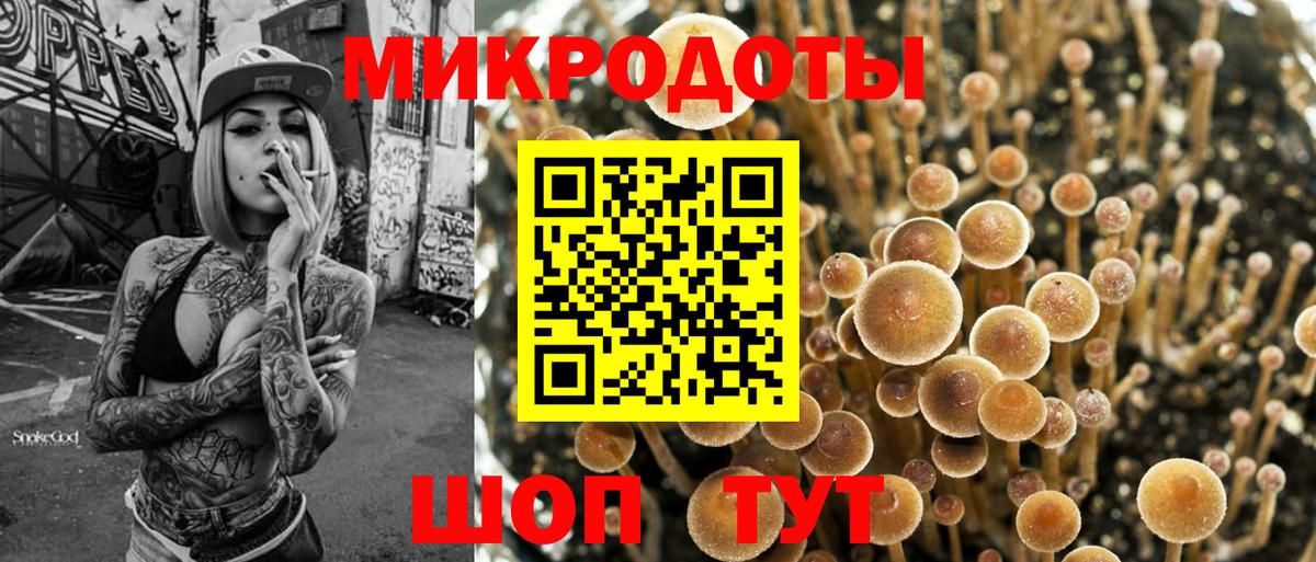 Ртищево  Галлюциногенные грибы ЛСД  Вход с VPN 
